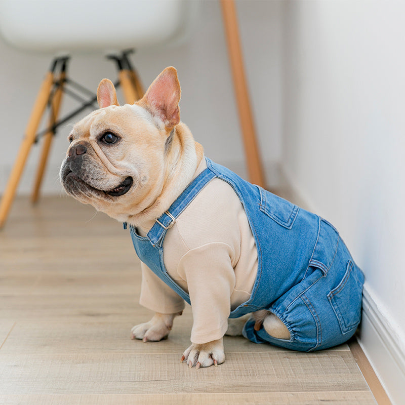 Adjustable Denim Jumpsuit for French Bulldogs - Stylish Pet Clothes for All Seasons