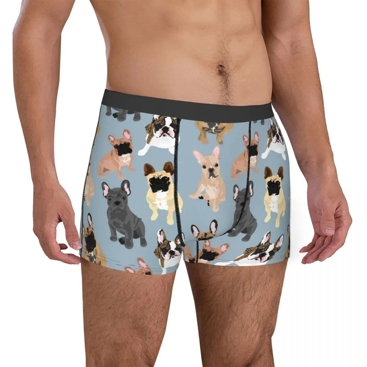 Novelty Boxer Frenchie French Bulldog Shorts Panties Man Underwear Animal Dog Breathable Underpants for Male Plus Size