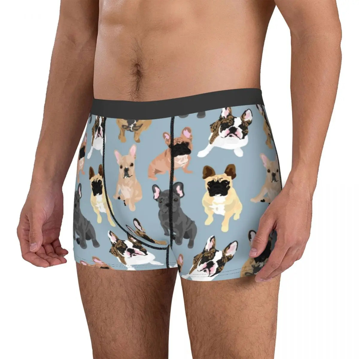 Novelty Boxer Frenchie French Bulldog Shorts Panties Man Underwear Animal Dog Breathable Underpants for Male Plus Size