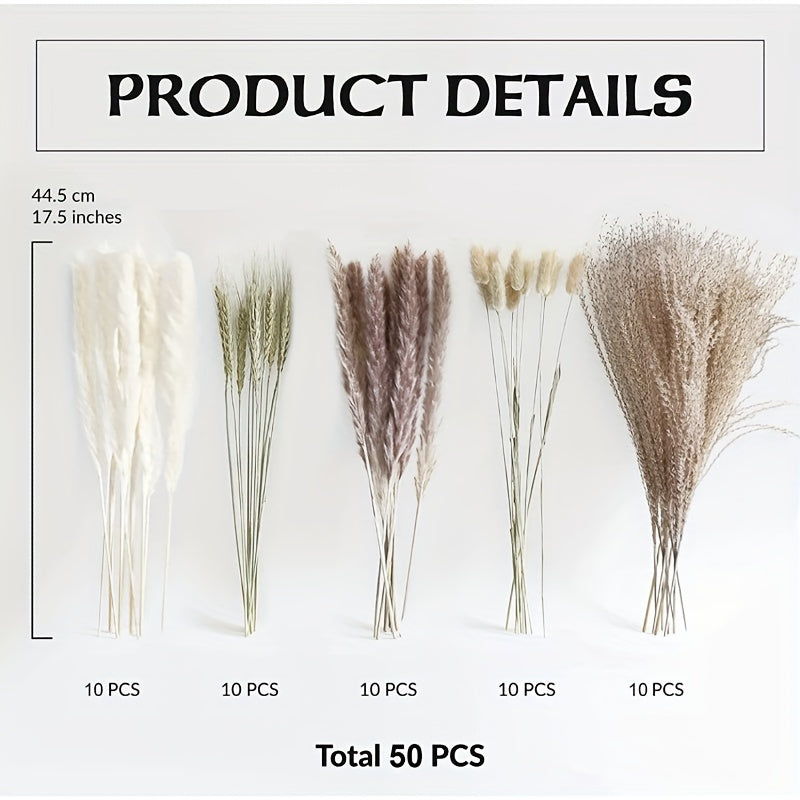 50pcs Natural Dried Pampa Grass Bouquet, Boho Home Decor Bouquet, Phragmites Dried Flowers Bouquet For Wedding Ramadan Decor, Winter Xmas Home Table Decor